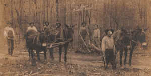 Group _5.jpg (75851 bytes)